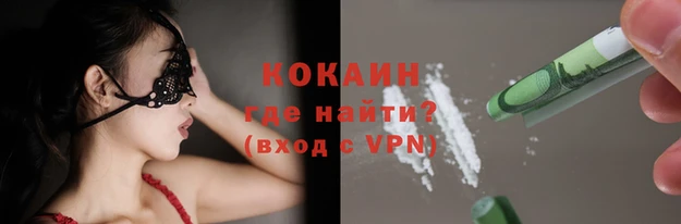 крисы Алзамай