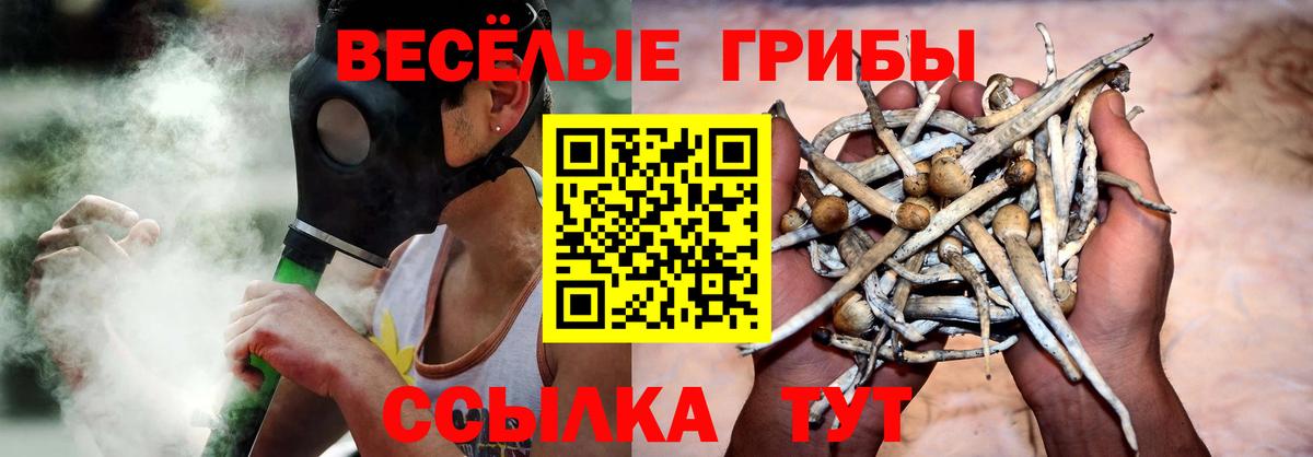 Уфа  Галлюциногенные грибы Cubensis  где можно купить наркотик  Вход с VPN 